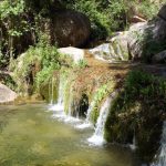 Una mirada a la vall del Glorieta · Visita i tast d’avellana