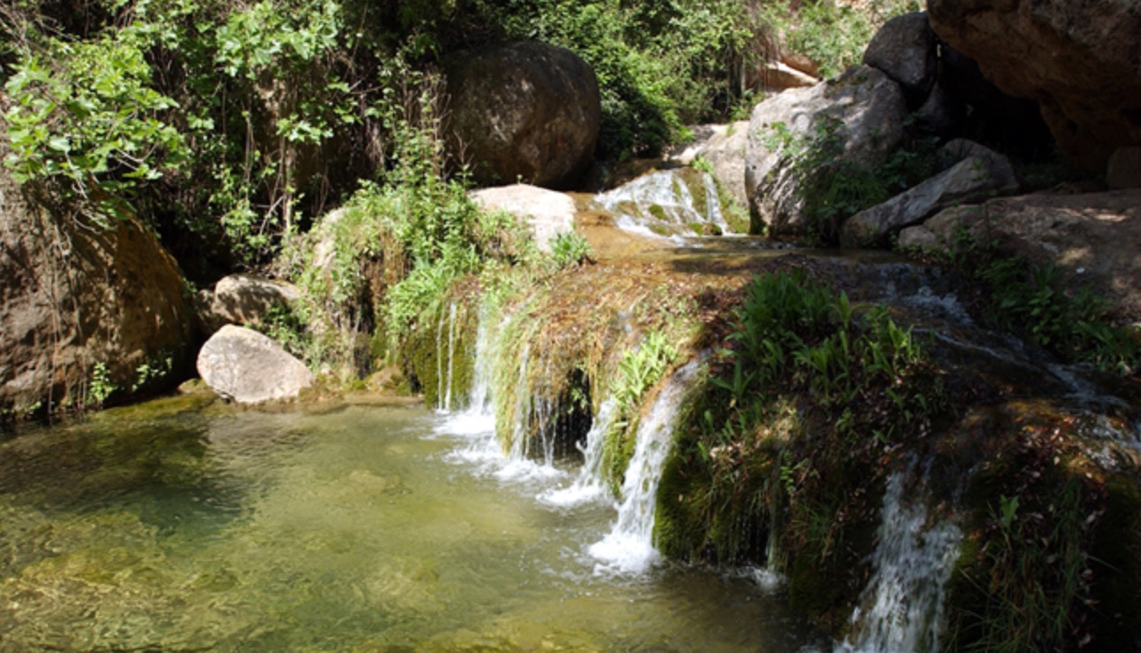 Una mirada a la vall del Glorieta · Visita i tast d’avellana