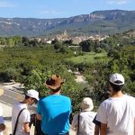 Ruta Mir-Manent. El paisatge pictòric i literari de l’avellana