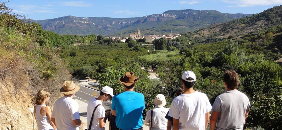 Ruta Mir-Manent. El paisatge pictòric i literari de l’avellana