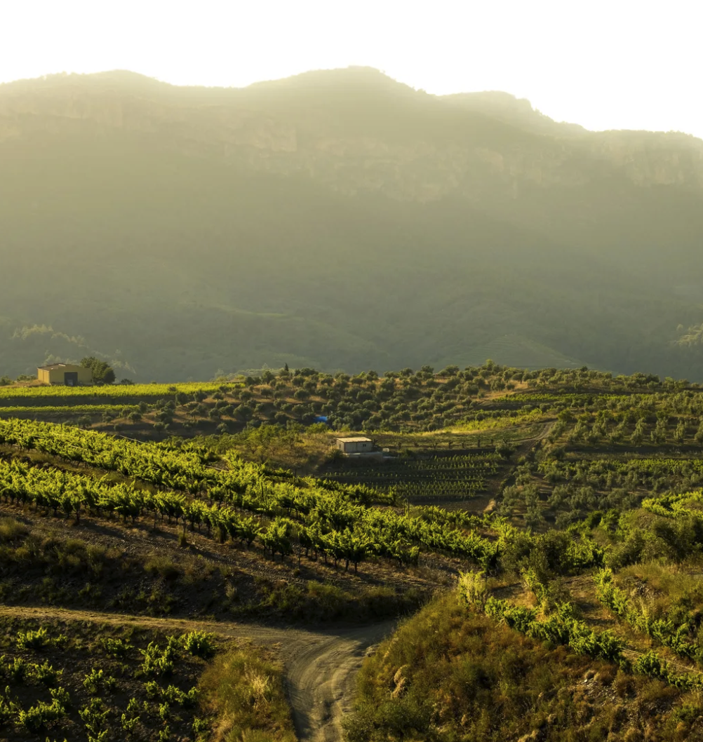 Cuina del Paisatge del Priorat
