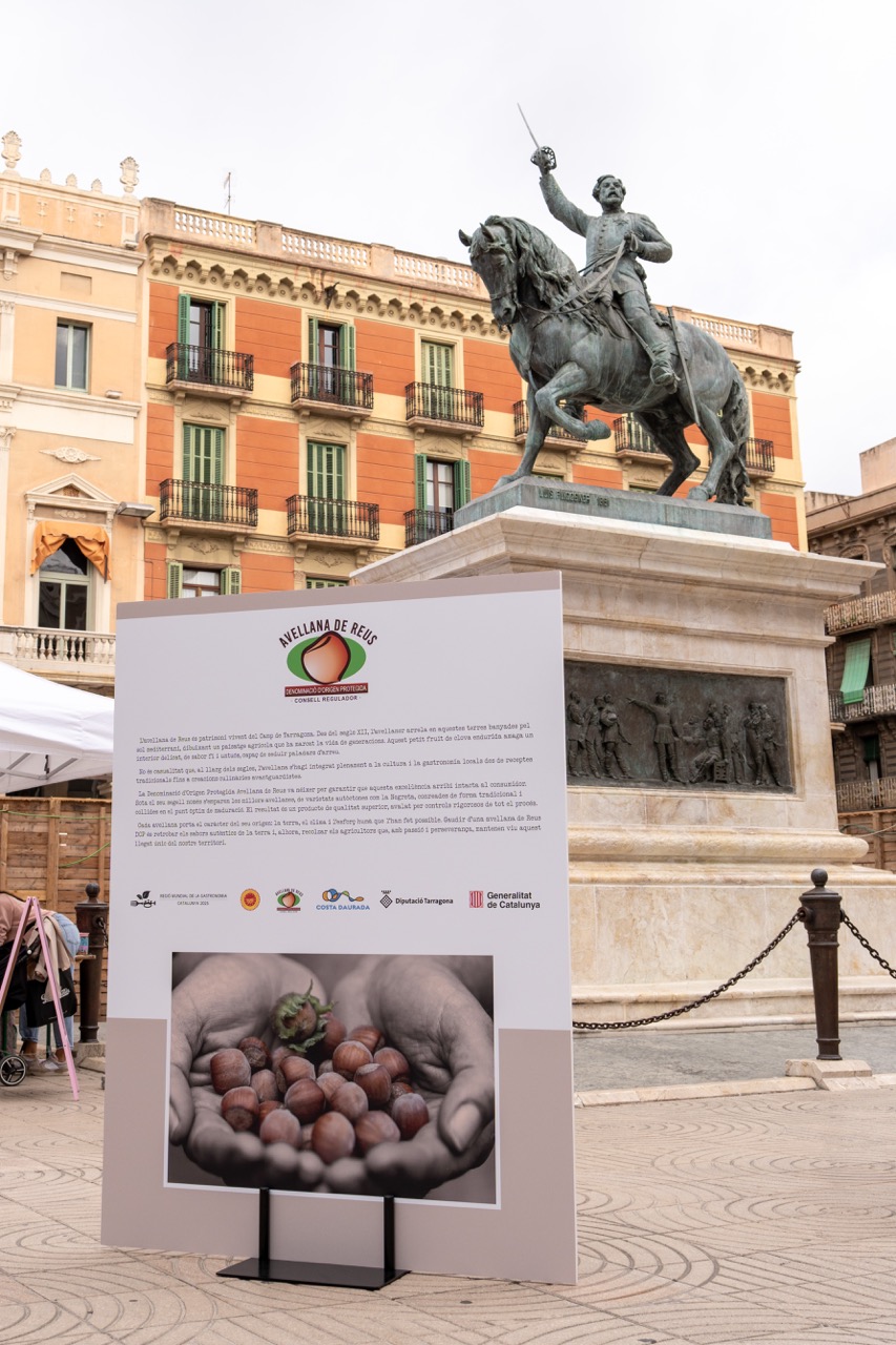 Exposició de l’Avellana de Reus a la plaça de Prim